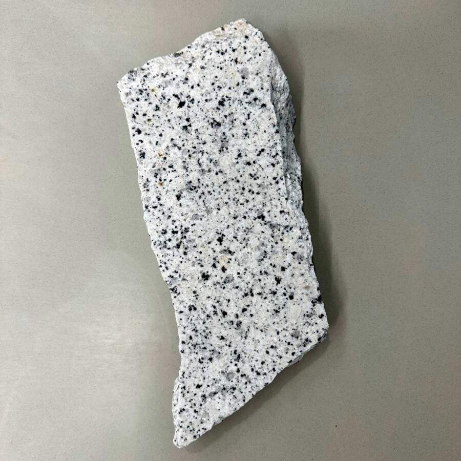 Architecture Studio in Rotterdam